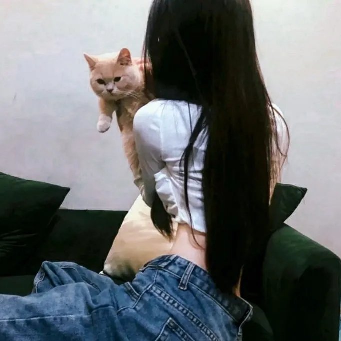 迈阿密的一夜